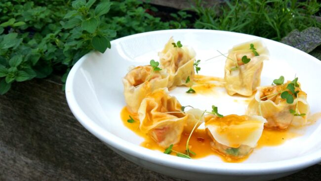 food wonton